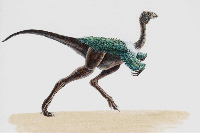 Tapeta dinozaury (43).jpg