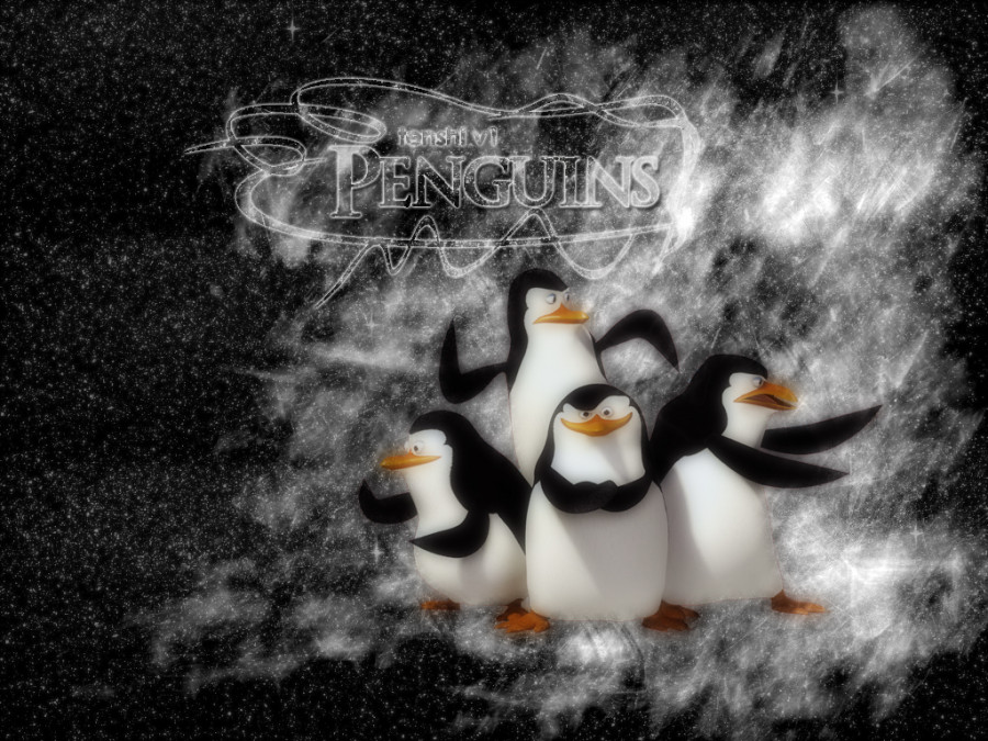 Tapeta pingwiny (21).jpg