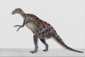 Tapeta dinozaury (39).jpg