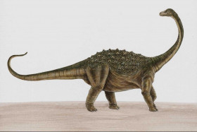Tapeta dinozaury (42).jpg