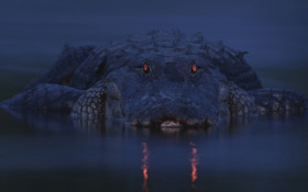 Tapeta Krokodyl