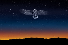 Tapeta Orzeł na nocnym niebie, Swoboda